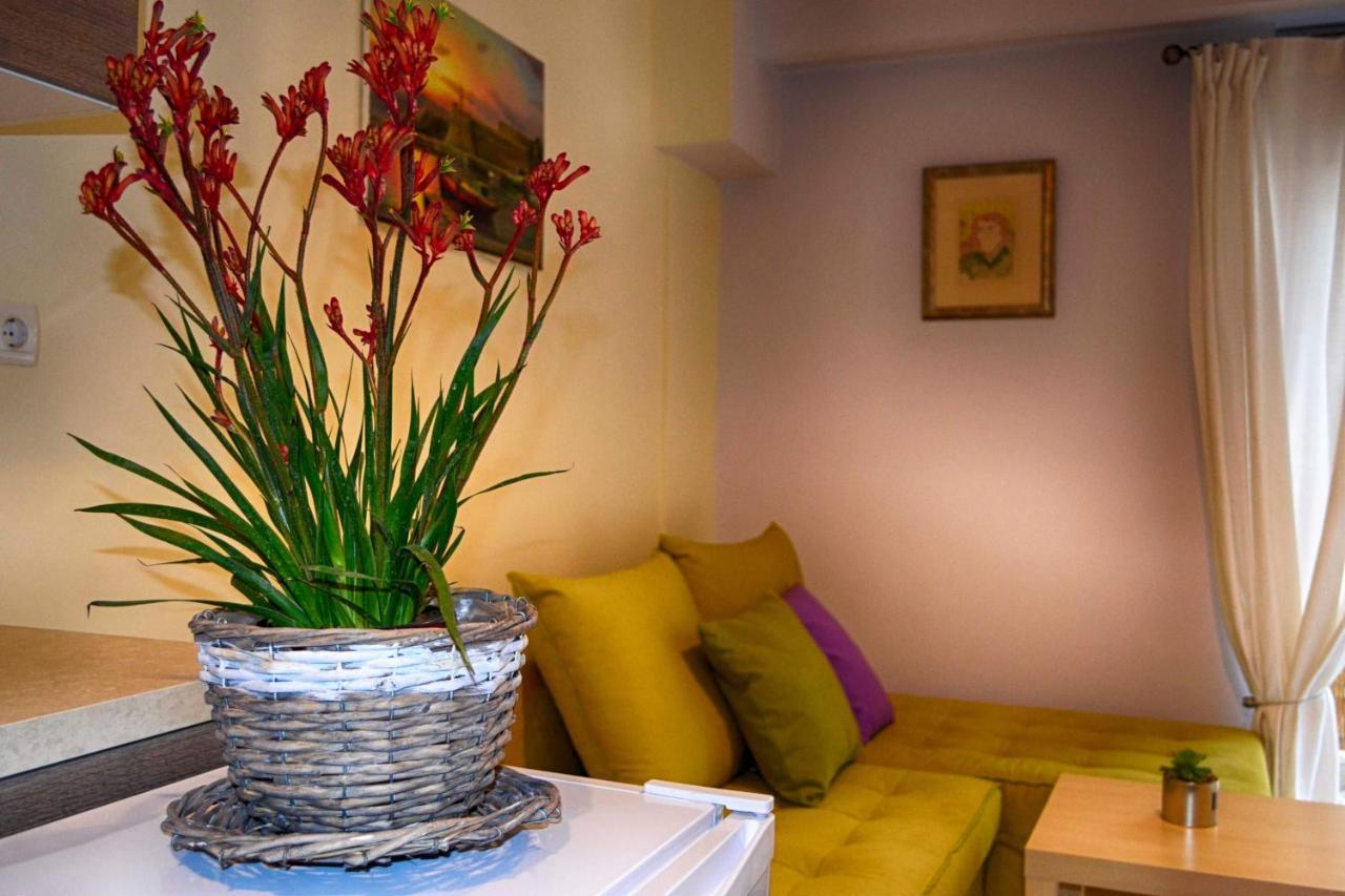 Central Guest Room 올림피아 외부 사진